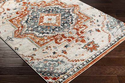 Sam Traditional Burnt Orange Area Rug