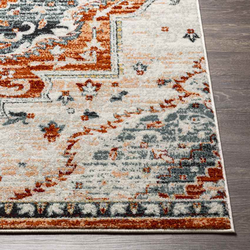 Sam Traditional Burnt Orange Area Rug