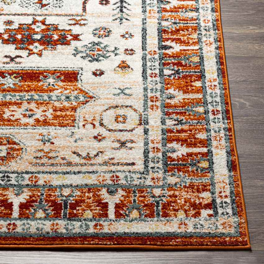 Culver Traditional Burnt Orange Area Rug