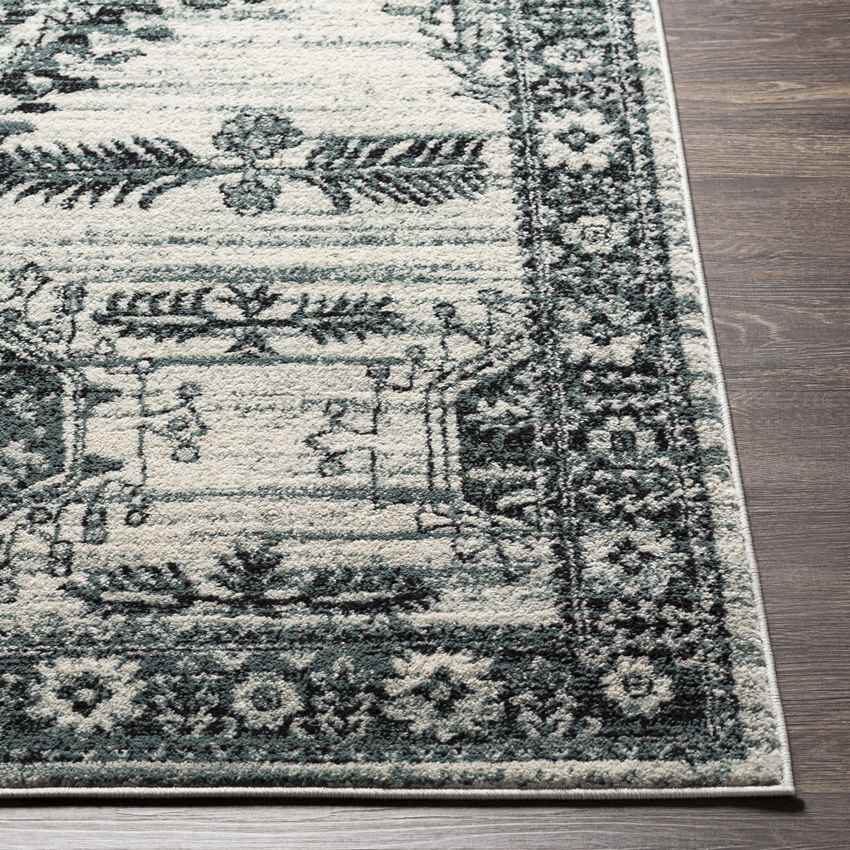 Darmstadt Traditional Pale Blue Area Rug