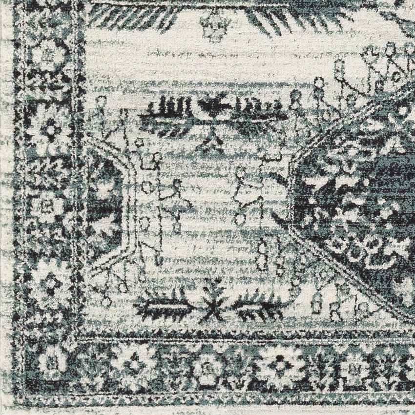 Darmstadt Traditional Pale Blue Area Rug