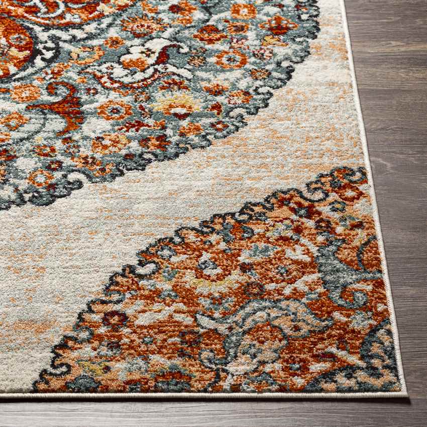 Decker Traditional Tangerine Area Rug