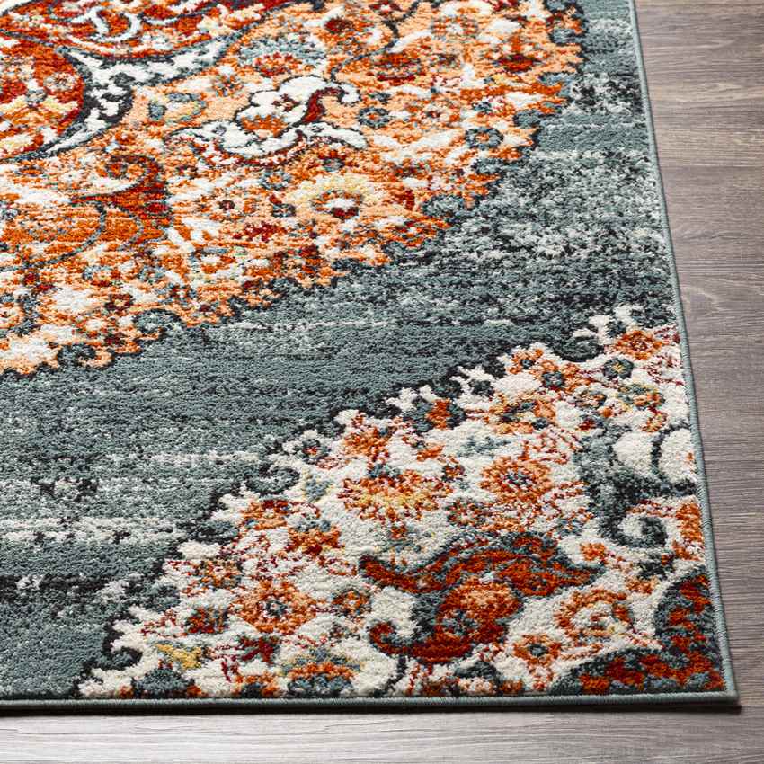 Decker Traditional Burnt Orange Area Rug