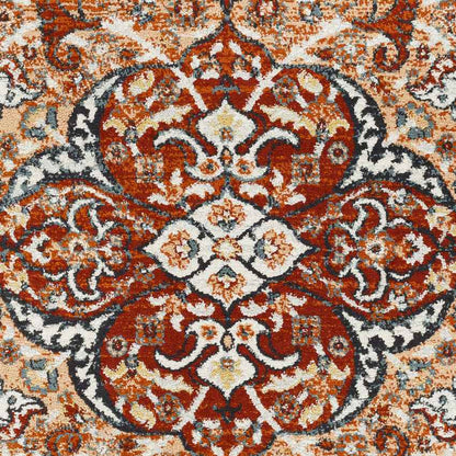 Decker Traditional Burnt Orange Area Rug