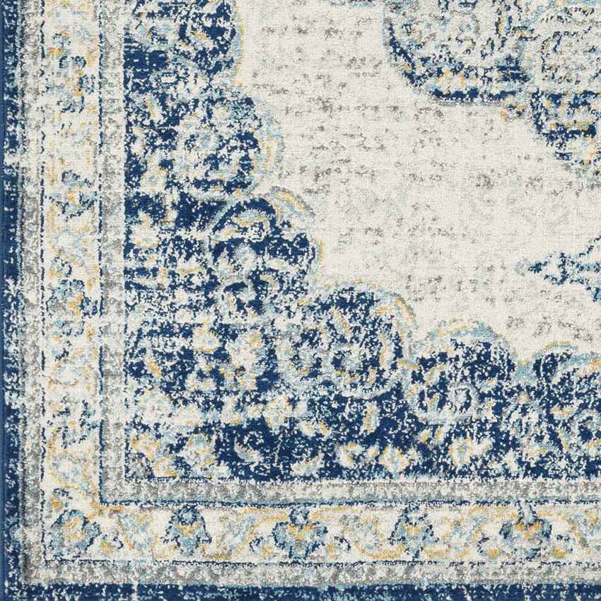 De Motte Traditional Navy Area Rug
