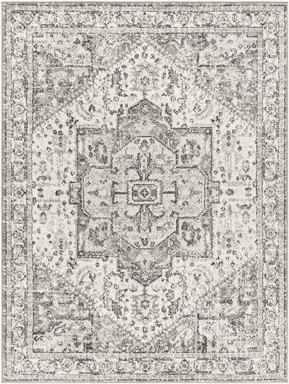 Dillsboro Traditional Gray Area Rug
