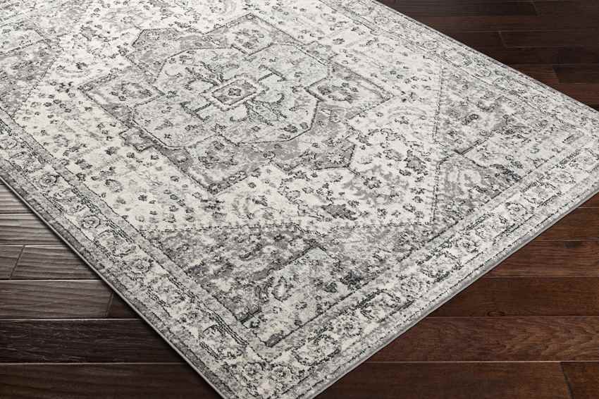 Dillsboro Traditional Gray Area Rug