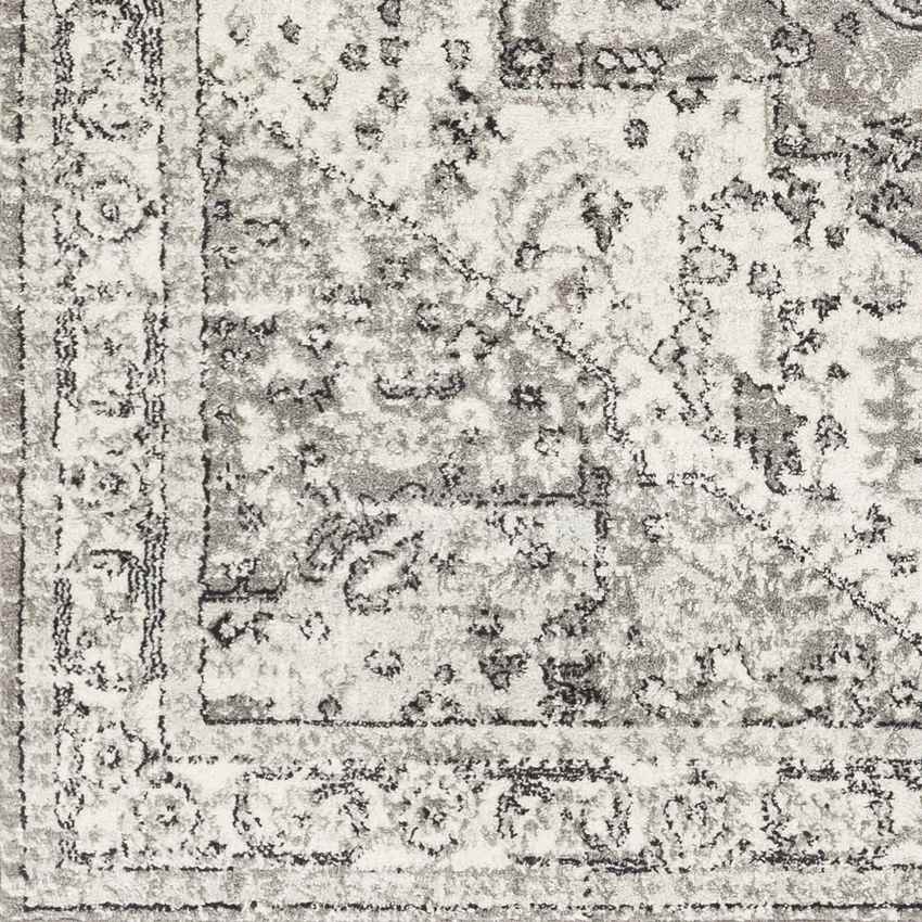 Dillsboro Traditional Gray Area Rug