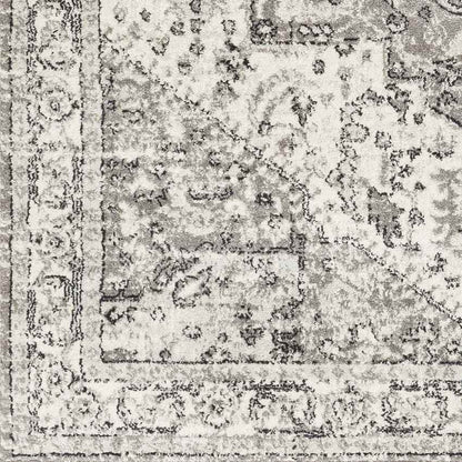 Dillsboro Traditional Gray Area Rug