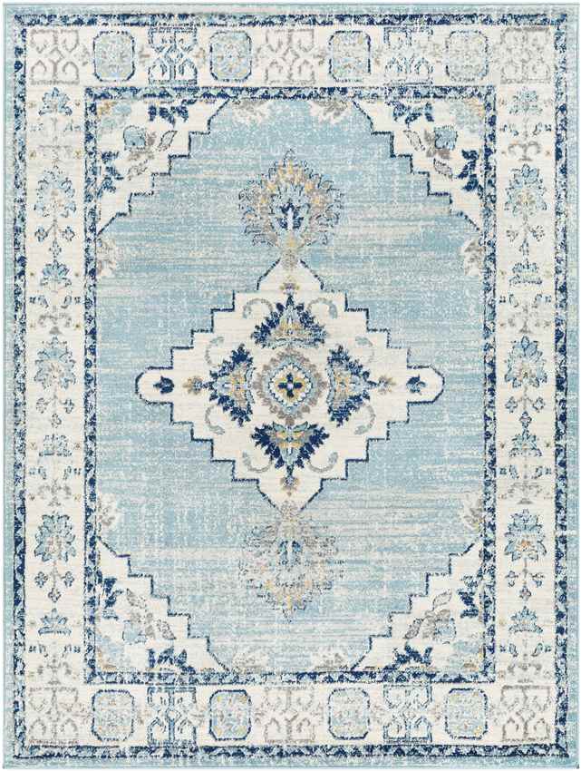 Dunreith Traditional Aqua Area Rug