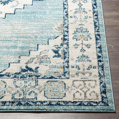 Dunreith Traditional Aqua Area Rug