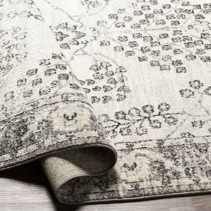 Dupont Traditional Gray Area Rug