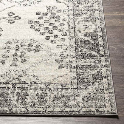 Dupont Traditional Gray Area Rug