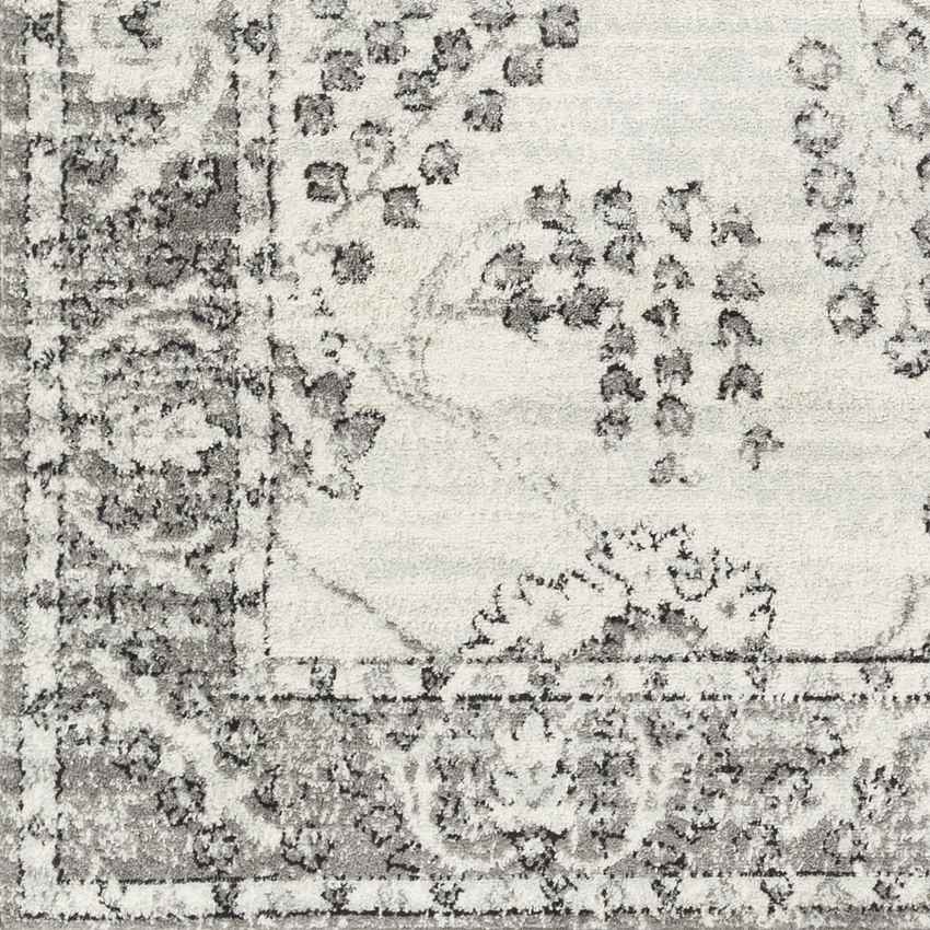 Dupont Traditional Gray Area Rug