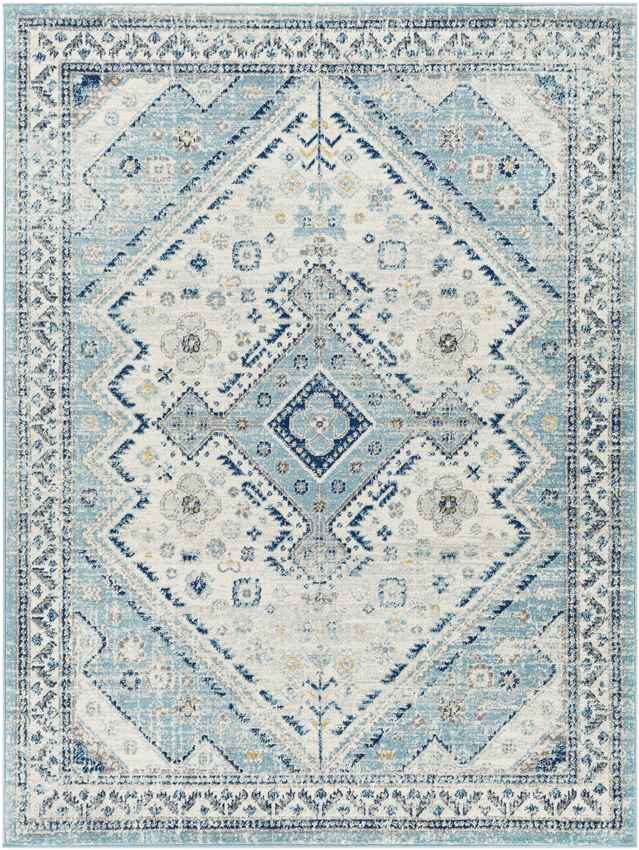 Earl Park Traditional Aqua Area Rug