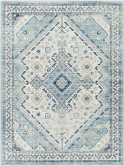 Earl Park Traditional Aqua Area Rug