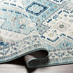 Earl Park Traditional Aqua Area Rug
