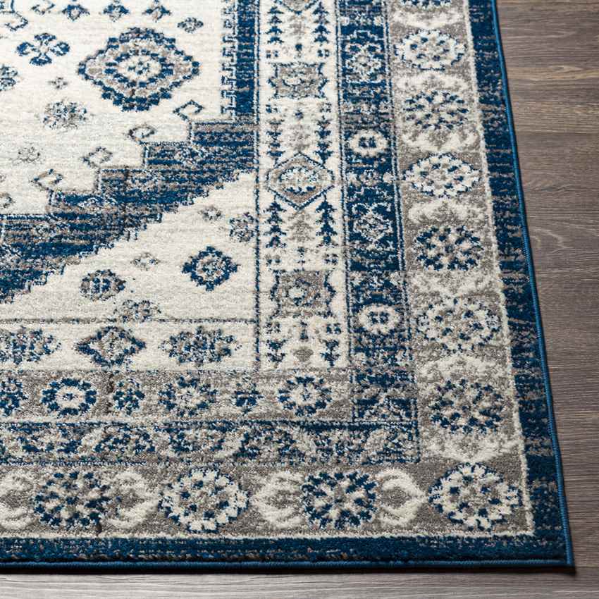 East Germantown Traditional Navy Area Rug