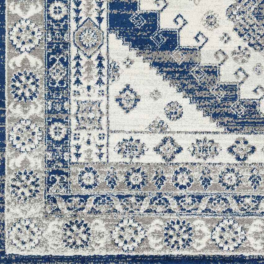 East Germantown Traditional Navy Area Rug