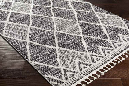 Jo Daviess Global Black Area Rug