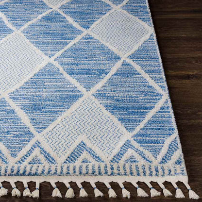 Edna Global Denim Area Rug