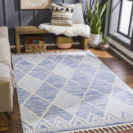 Edna Global Denim Area Rug