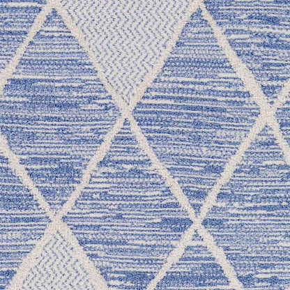 Edna Global Denim Area Rug