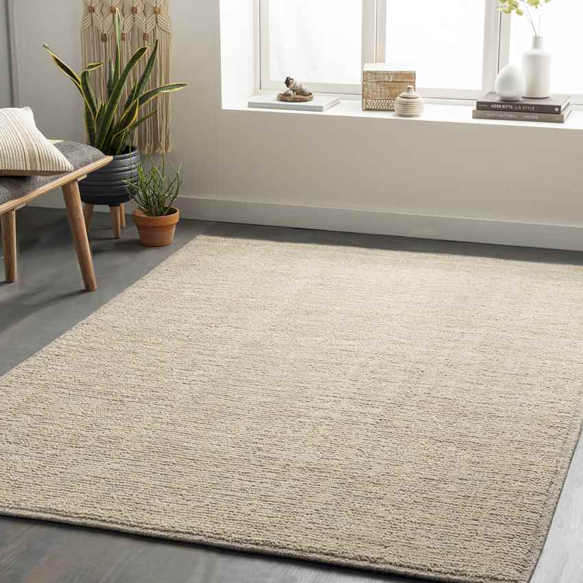 Jack Modern Beige Area Rug