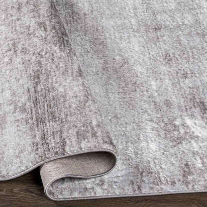 Le Robert Modern Gray Area Rug