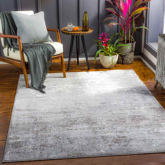 Le Robert Modern Gray Area Rug