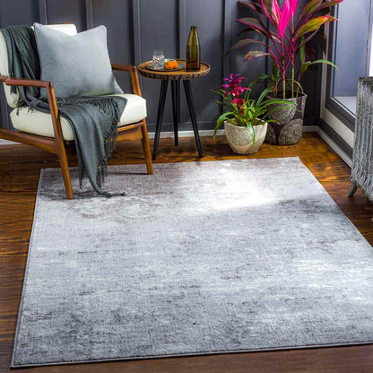 Le Robert Modern Light Gray Area Rug