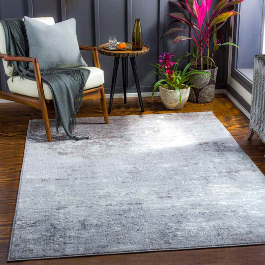 Le Robert Modern Light Gray Area Rug