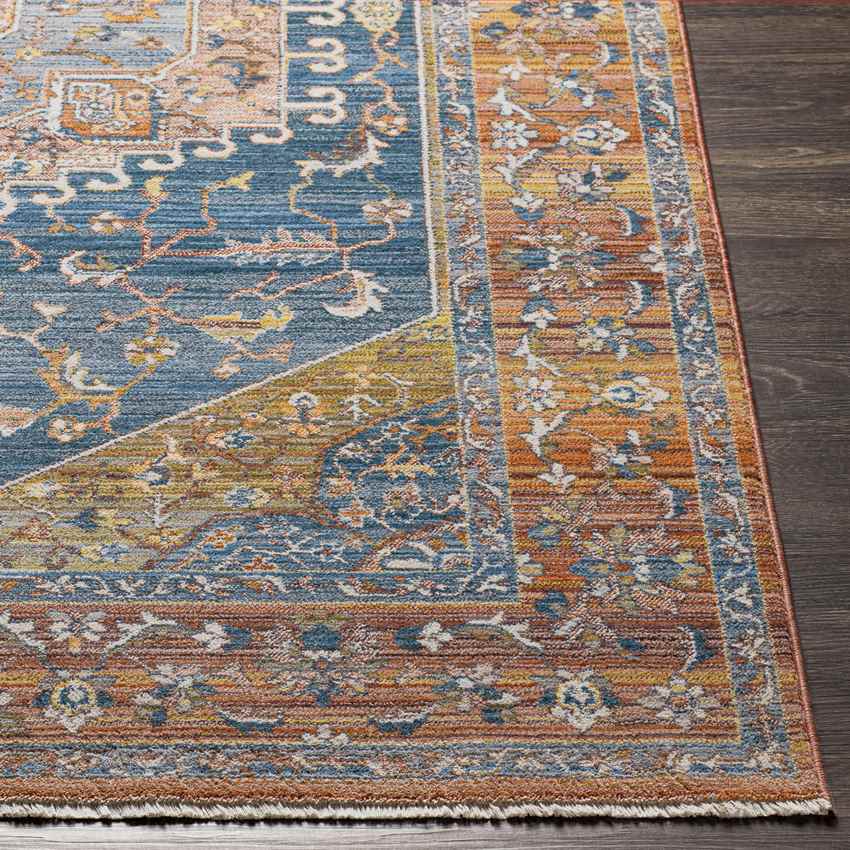 Sanborn Traditional Rust Area Rug