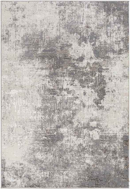 Shambaugh Modern Gray Area Rug