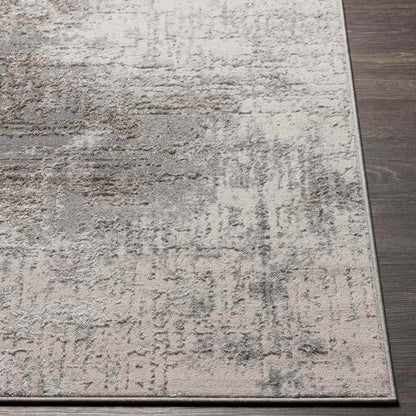 Shambaugh Modern Gray Area Rug