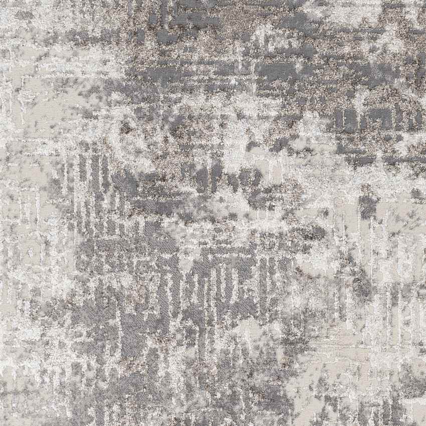 Shambaugh Modern Gray Area Rug