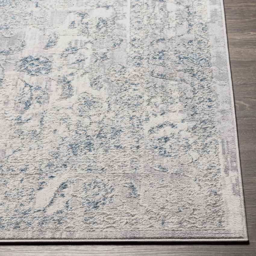 Sioux Rapids Traditional Dark Gray Area Rug