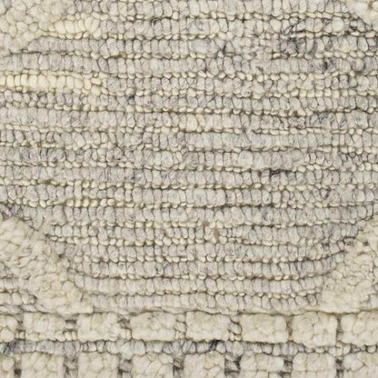 Thompson Global Beige Area Rug