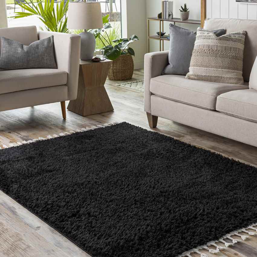 Thornburg Global Black Area Rug