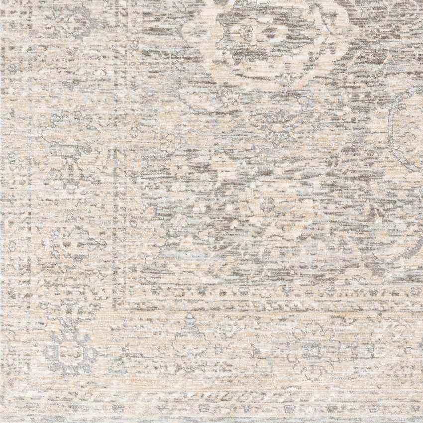 Van Wert Traditional Beige Area Rug