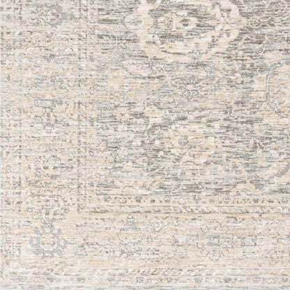 Van Wert Traditional Beige Area Rug