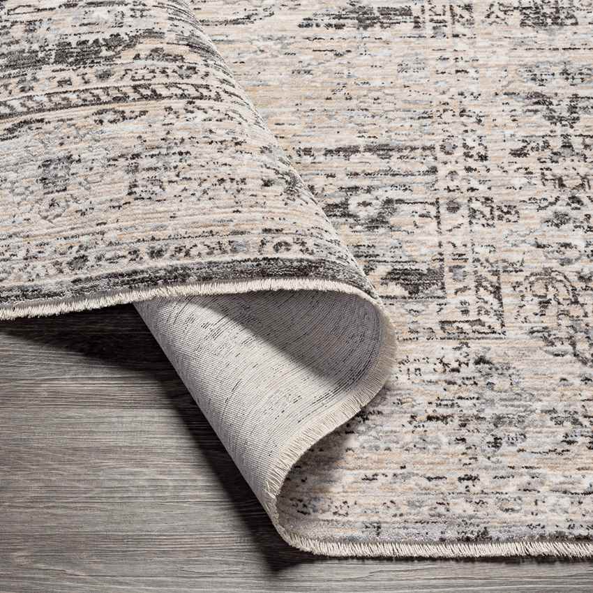 Van Wert Traditional Charcoal Area Rug