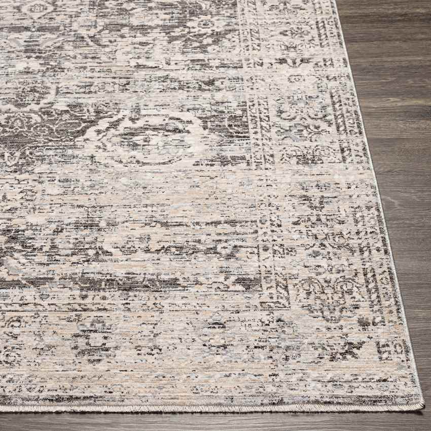 Van Wert Traditional Charcoal Area Rug