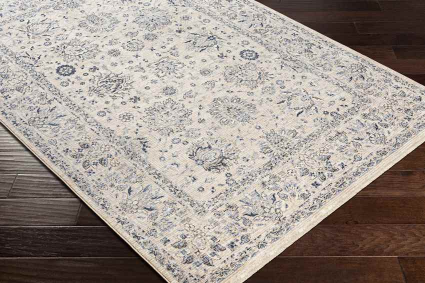 Villisca Traditional Beige Area Rug
