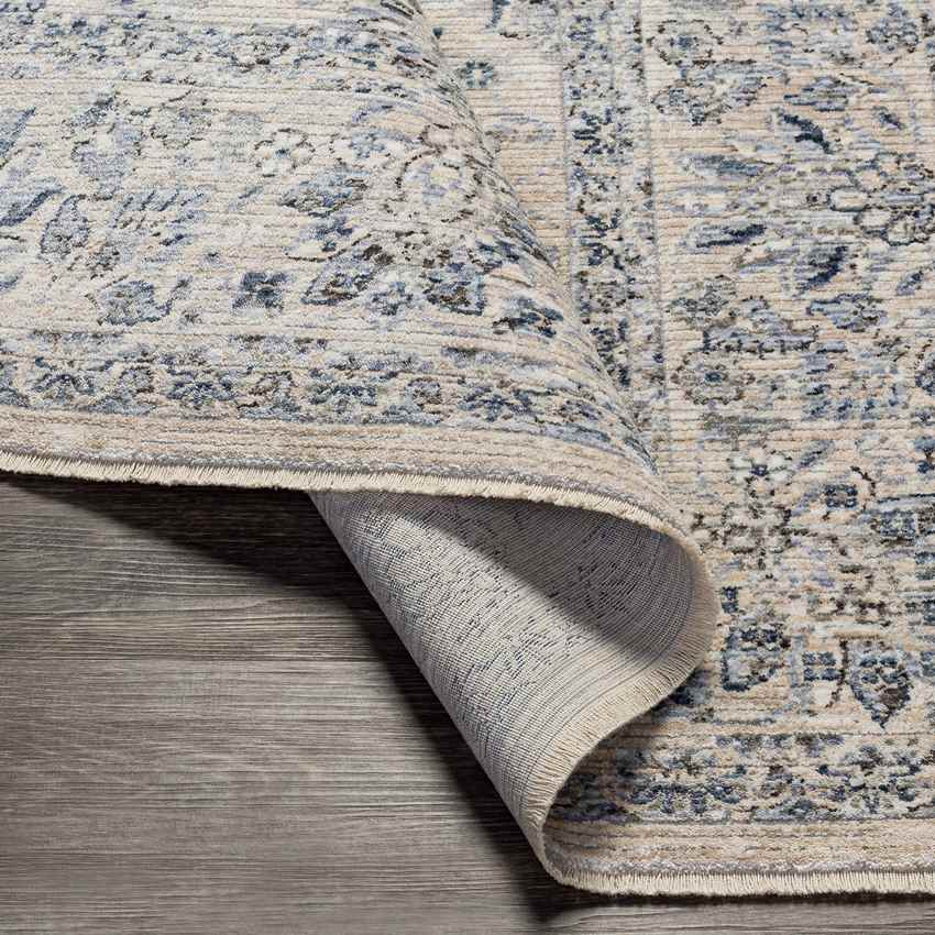 Villisca Traditional Beige Area Rug