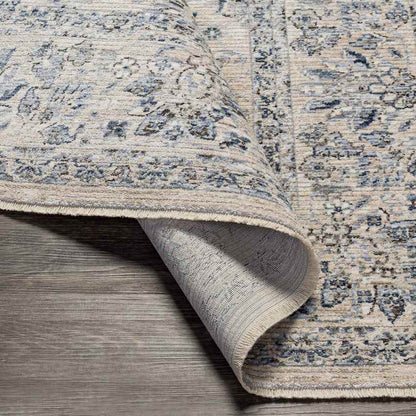 Villisca Traditional Beige Area Rug