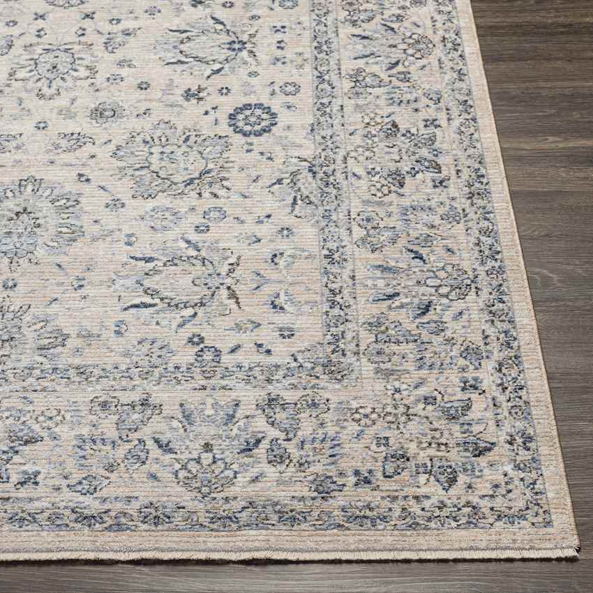 Villisca Traditional Beige Area Rug
