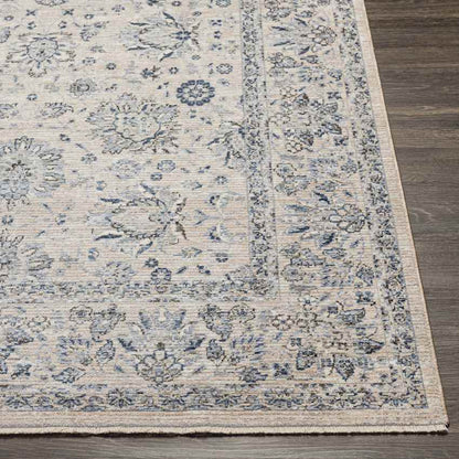 Villisca Traditional Beige Area Rug