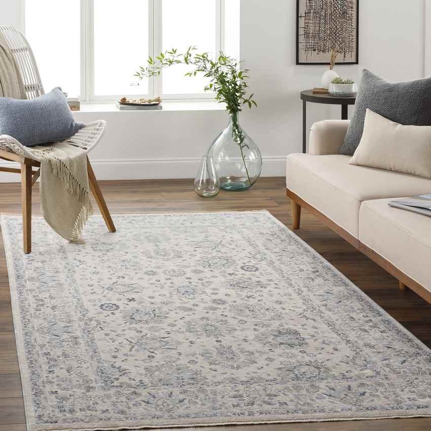 Villisca Traditional Beige Area Rug