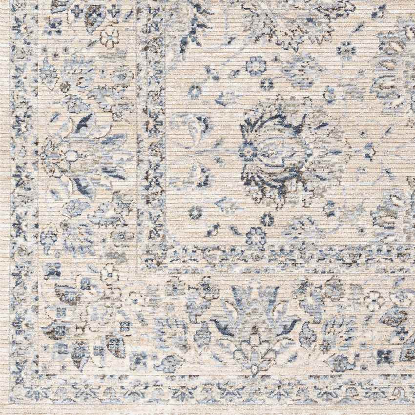 Villisca Traditional Beige Area Rug